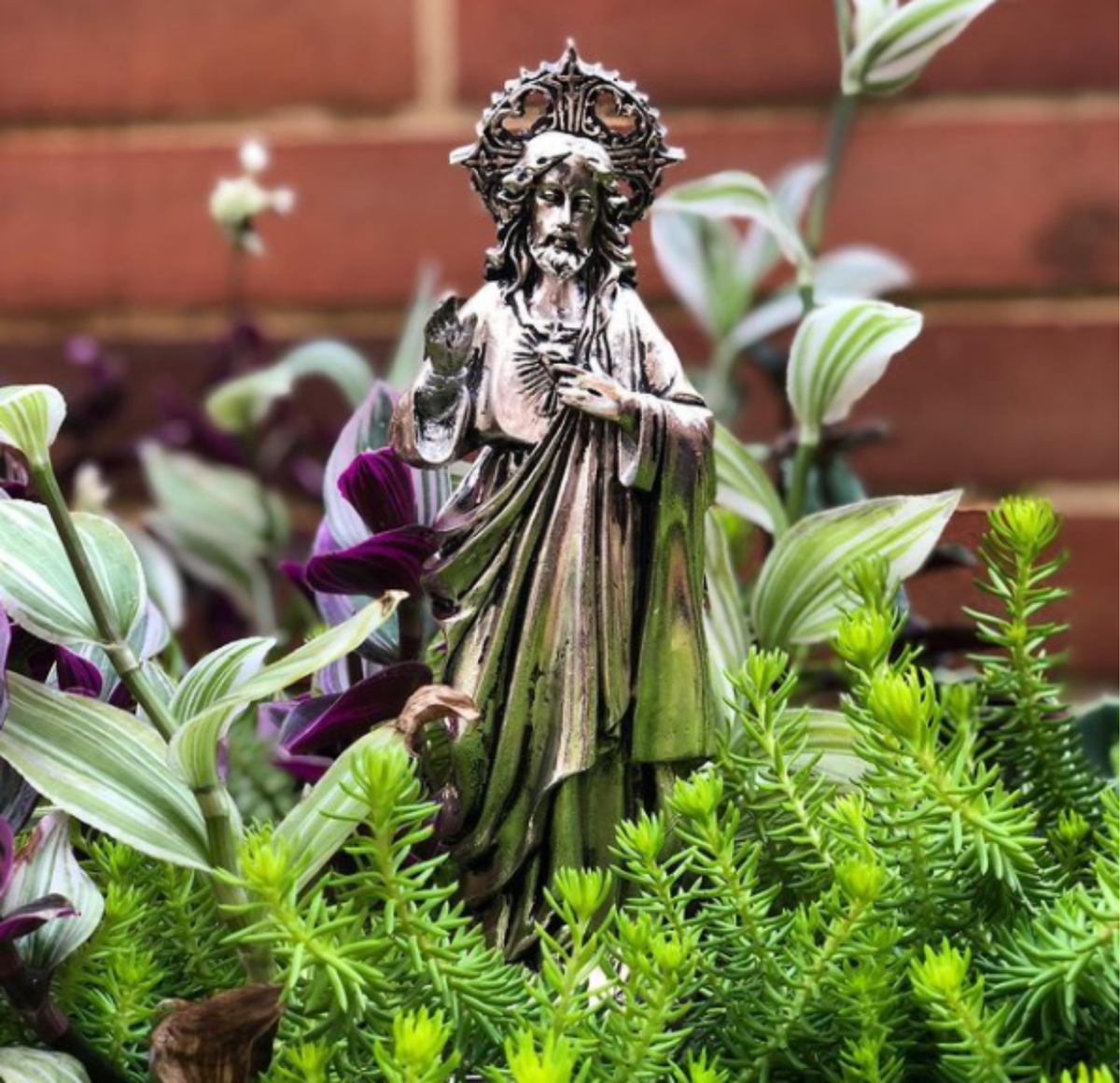 Sagrado Corazón de Jesús