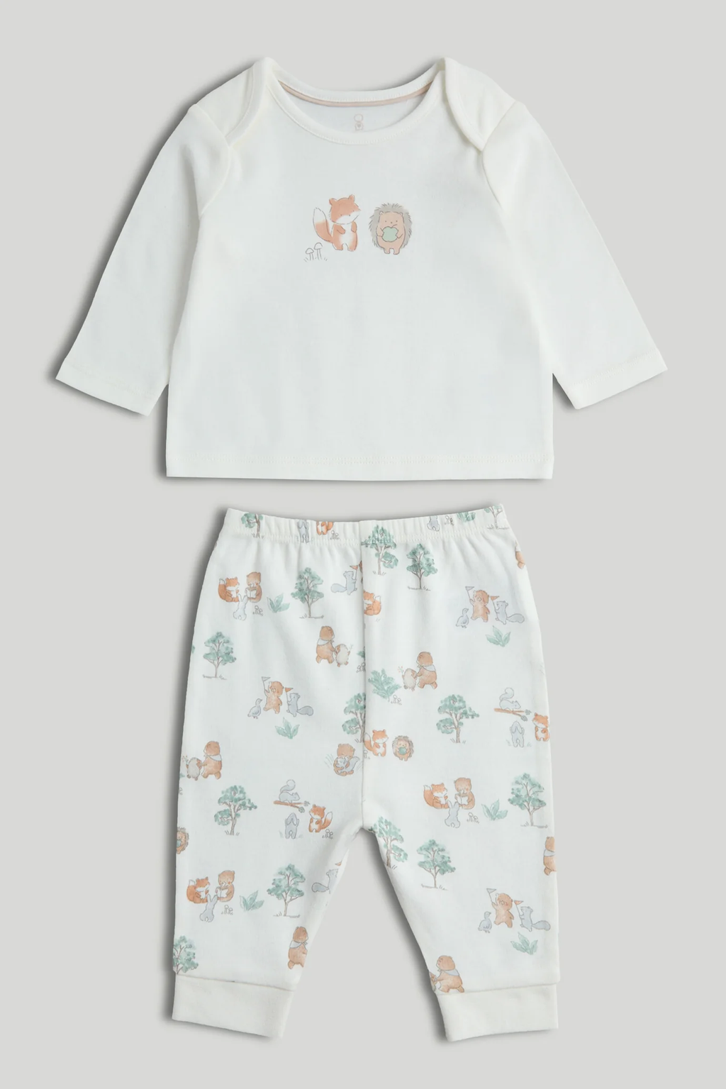 Set de Regalo Bosque x8