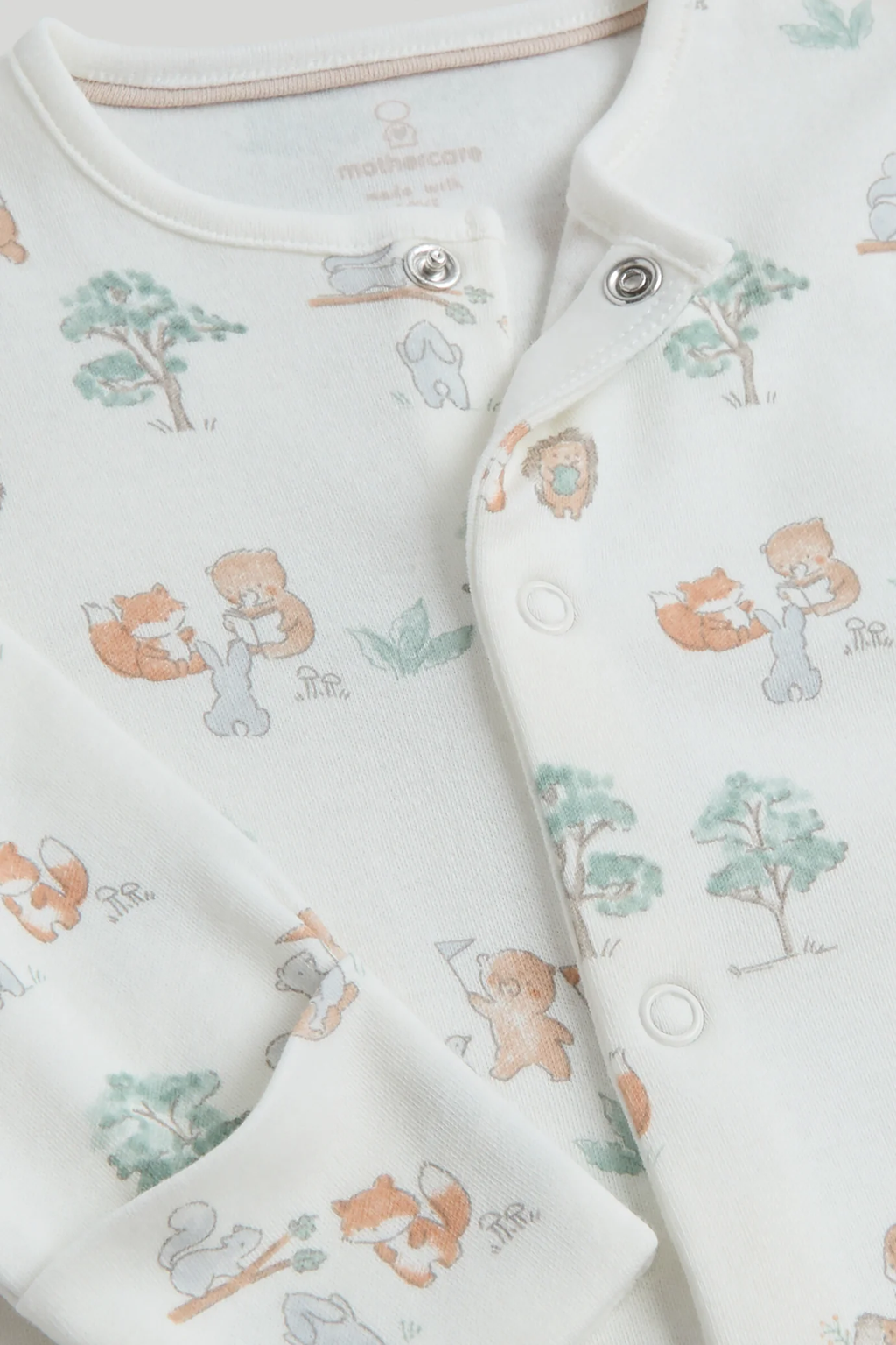 Set de Regalo Bosque x8