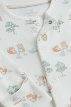Set de Regalo Bosque x8