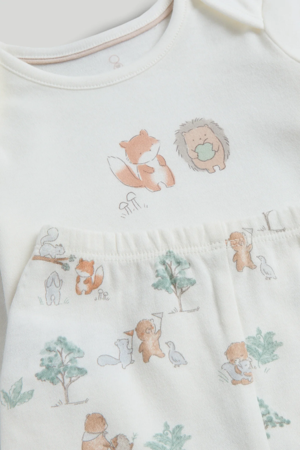 Set de Regalo Bosque x8
