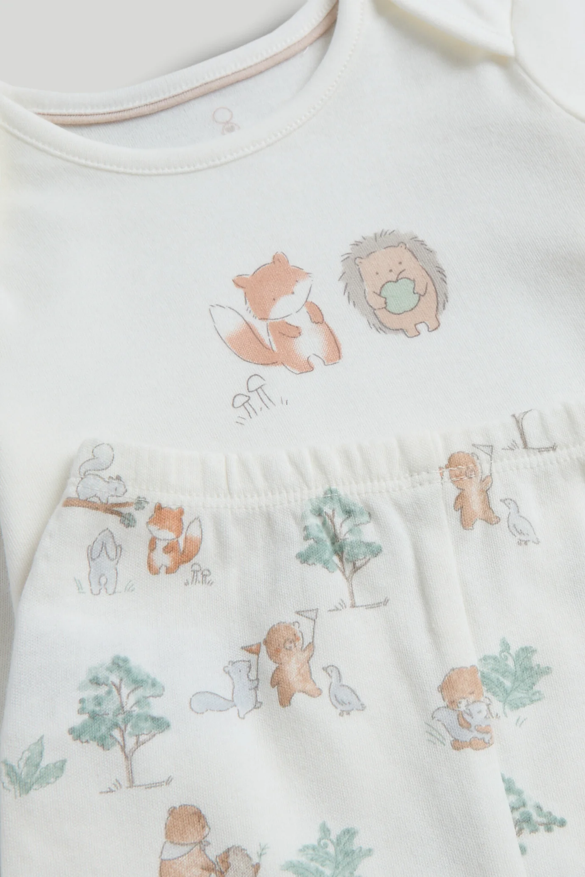 Set de Regalo Bosque x8
